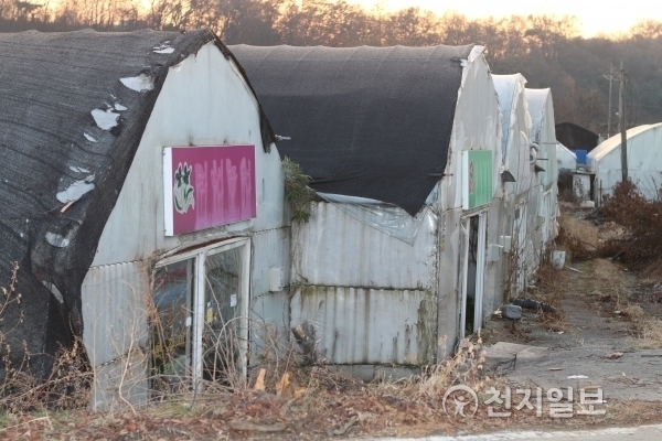 [천지일보=남승우 기자] 과천지식정보타운 부지 내 남아있는 비닐하우스. ⓒ천지일보(뉴스천지)