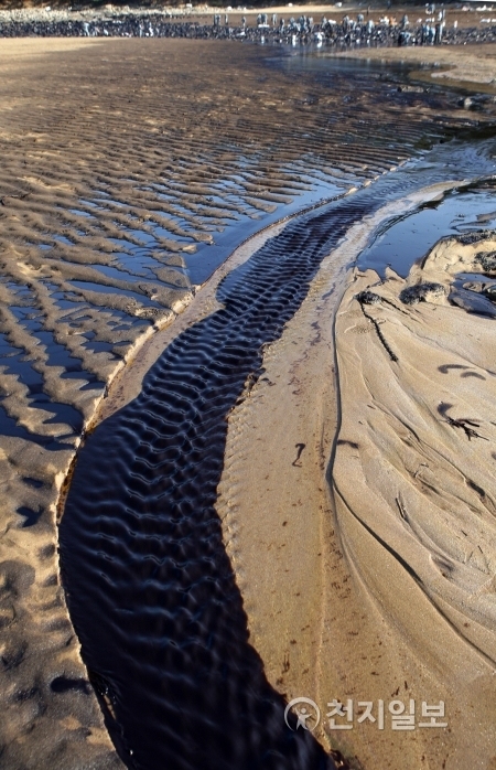 2007년 12월 7일 발생한 유조선 기름유출사고로 모래사장에 기름띠가 선명하다. (제공: 충청남도) ⓒ천지일보(뉴스천지)