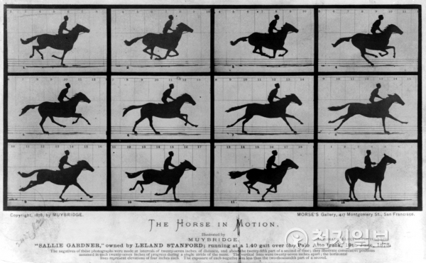에드워드 마이브리지가 만든 ‘주프락시스코프’로 촬영한 달리는 말(1878). (제공: ㈜영화사 그램)ⓒ천지일보(뉴스천지) 2017.12.7