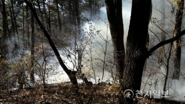 12일 오후 1시 32분쯤 부산 기장군 수령산에서 불이나 임야에서 화재연기가 피어오르는 모습. (제공: 부산 기장소방소) ⓒ천지일보(뉴스천지) 2017.12.12