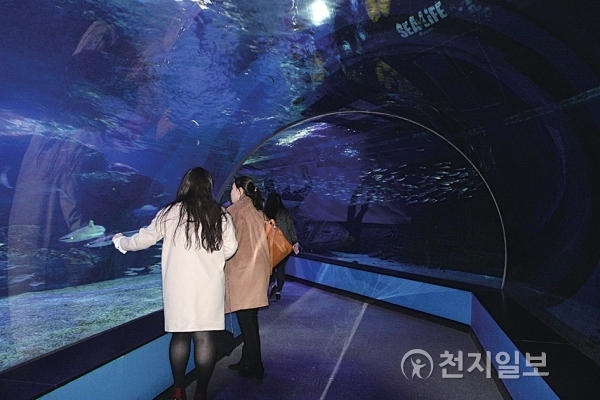 SEA LIFE 부산 아쿠아리움 해저 터널. ⓒ천지일보(뉴스천지) 2017.12.15