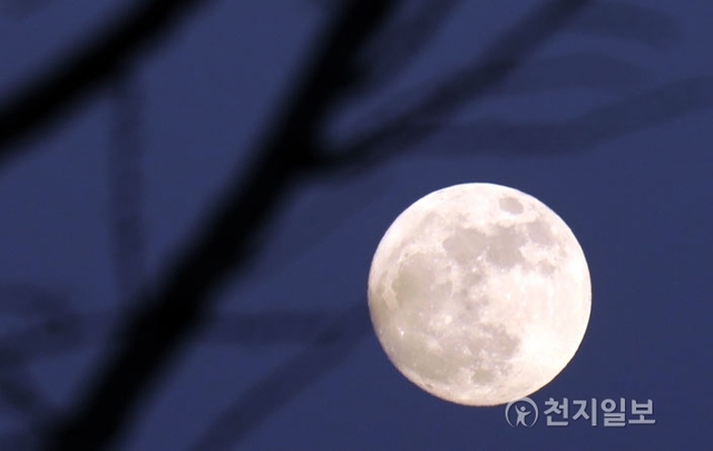 [천지일보=박완희 기자] 무술년 새해 첫 보름달인 ‘슈퍼문’이 1일 저녁 서울 종로구 인근에서 떠오르고 있다. 슈퍼문은 지구와 가장 가까워져 평소보다 더 크게 보이는 보름달을 말하며 일반적인 보름달보다 14%가량 더 크고 30%정도 더 밝다고 나사는 설명했다. 슈퍼문은 일반적으로 13개월마다 관측할 수 있다. ⓒ천지일보(뉴스천지) 2018.1.1