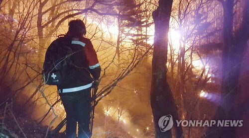 14일 오후 7시 53분께 강원 양양군 양양읍 화일리에서 발생한 산불을 진화하기 위해 진화대원이 불을 끄고 있다. (출처: 연합뉴스)
