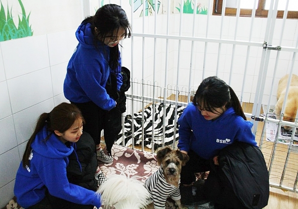 bhc 해바라기 봉사단 1기 1조가 지난 20일 서울 답십리에 위치한 유기동물 보호센터인 ‘땡큐센터’를 방문해 직원들의 일손을 돕고 있다. (제공: bhc치킨) ⓒ천지일보(뉴스천지) 2018.1.22
