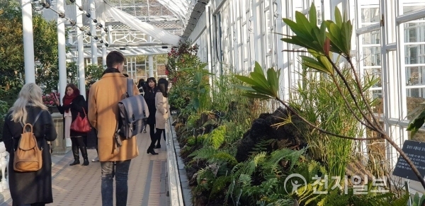 [천지일보=유영선 기자] 지난 23일 창경궁 대온실을 찾은 시민들과 외국인 관광객 등이 대온실 속 식물들을 관람하고 있는 모습. 영하 10도 이하로 뚝 떨어진 매서운 한파에도 따뜻한 대온실은 사람들의 여유와 웃음이 넘쳐났다.