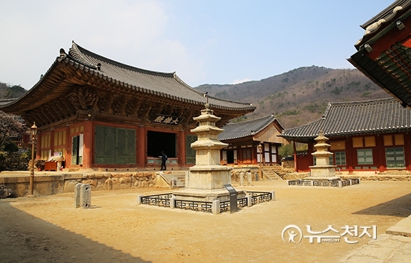 전남 순천 조계산 자락에 위치한 한국불교태고종 태고총림 선암사 경내에 보물 제1311호 대웅전이 장엄한 위엄을 드러내며 관광객들의 시선을 사로잡고 있다. ⓒ천지일보(뉴스천지)