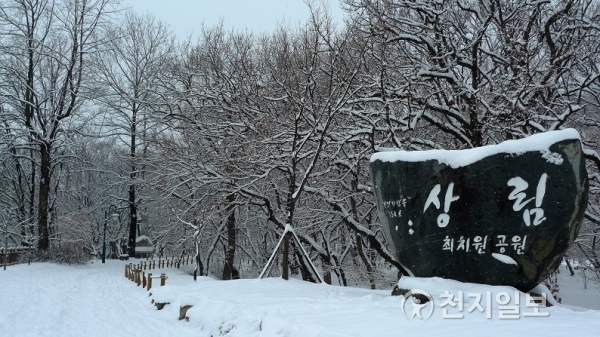상림겨울. (제공: 경남도) ⓒ천지일보(뉴스천지) 2018.2.12