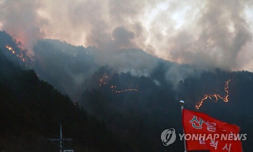 (삼척=연합뉴스) 강원 삼척시 노곡면 하마읍리에서 발생한 산불이 13일 인근으로 번지고 있다.