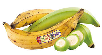 요리용 바나나 ‘바나밸리 쿠킹’ (제공: 신세계푸드)