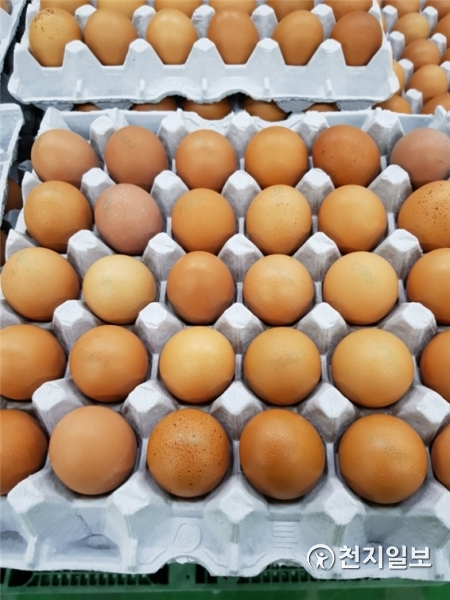 달걀. (제공: 경기도) ⓒ천지일보(뉴스천지) 2018.4.5