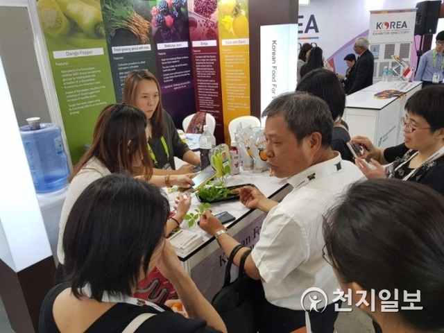 한국농수산식품유통공사가 지난 24일부터 오는 27일까지 열리는 ‘싱가포르 국제식품박람회(Food & Hotel Asia 2018)’에 참가해 한국관을 운영 중인 가운데 현지인에게 새싹인삼을 선보이고 있다. (제공: 한국농수산식품유통공사)ⓒ천지일보(뉴스천지) 2018.4.25