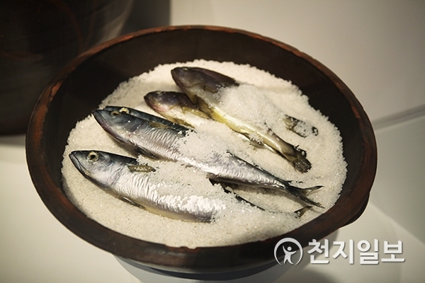 소금에 절인 생선 ⓒ천지일보(뉴스천지) 2018.5.1