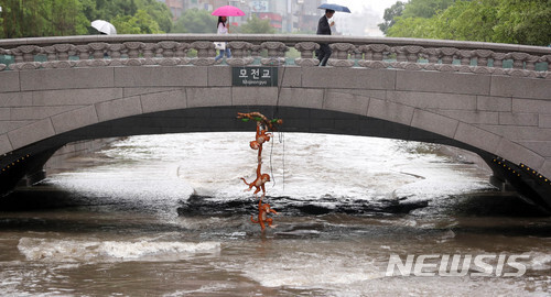 【서울=뉴시스】 폭우가 이틀째 내린 17일 오전 서울 종로구 청계천에서 부처님오신날을 맞이해 설치된 원숭이 조형물이 물에 잠겨 있다.
