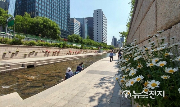 서울 청계천을 찾은 시민들이 산책을 즐기고 있다. ⓒ천지일보(뉴스천지)