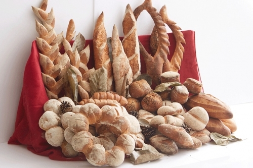 다양한 빵의 모습 (제공: 한국호텔관광실용전문학교)