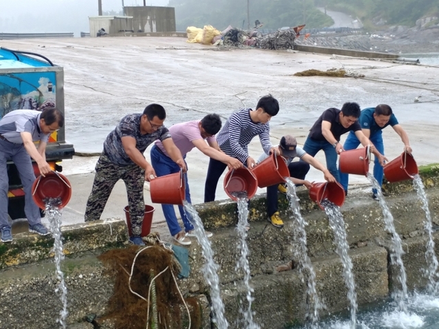 전남 진도군이 22일 의신면 수품 해역에서 감성돔 치어 6만여 마리를 방류하고 있다. (제공:진도군) ⓒ천지일보(뉴스천지) 2018.6.22