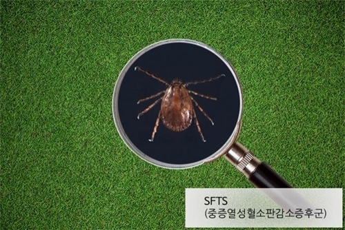 야생진드기 감염증 (출처: 연합뉴스)