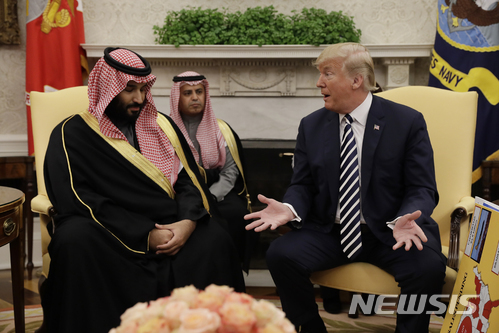 도널드 트럼프 미 대통령이 지난 3월 백악관에서 방미 중인 무함마드 빈 살만 알 사우드 사우디아라비아 왕세자 겸 국방장관과 만나 회담하고 있다. (출처: 뉴시스)