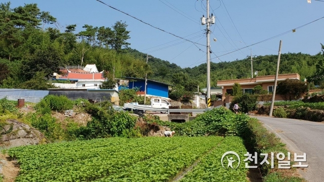 비료공장에서 직선거리로 200여미터 떨어진 곳에 위치한 마을의 모습. ⓒ천지일보 2018.7.27