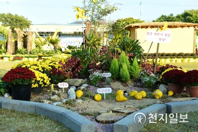 지난해 장성 황룡강 노랑꽃 잔치 행사장에 전시된 마을 정원. (제공: 장성군) ⓒ천지일보 2018.7.29