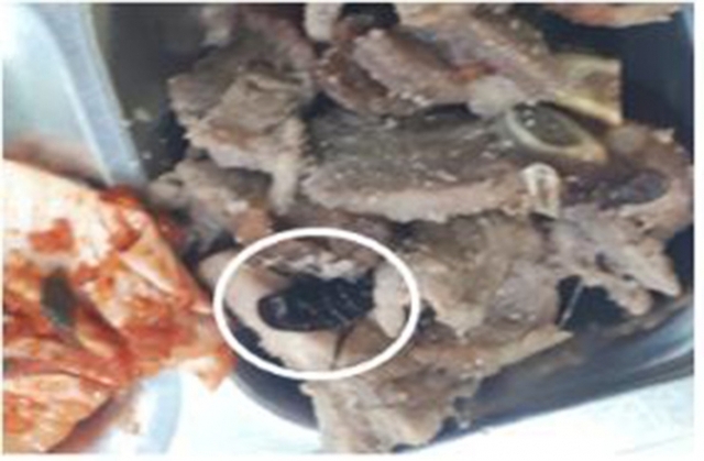 [천지일보=임혜지 기자] 학교급식에서 발견된 벌레의 모습. (출처: 국민권익위원회)