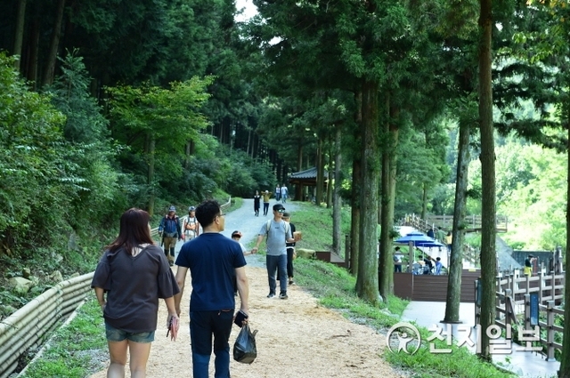 지난해 장성 ‘축령산 편백 산소축제’를 찾은 관광객들이 숲길을 걷고 있다. (제공: 장성군) ⓒ천지일보 2018.8.30