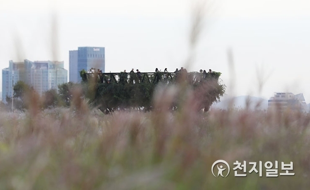 [천지일보=남승우 기자] 28일 서울 마포구 하늘공원을 찾은 시민들이 전망대에 올라 활짝 핀 가을 억새를 즐기고 있다. ⓒ천지일보 2018.9.28