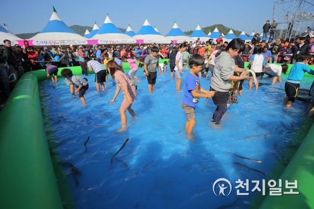 지난해 붕장어 축제 모습. (제공: 부산 기장군) ⓒ천지일보 2018.10.2