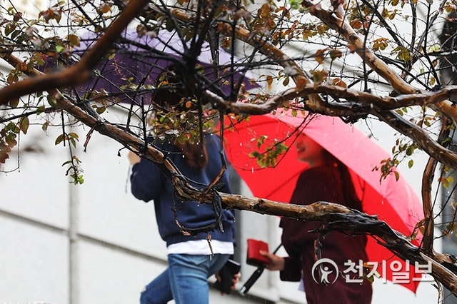 [천지일보=남승우 기자] 태풍 ‘콩레이’ 영향으로 전국 대부분 지역에 비가 내리는 5일 오후 서울 용산구 숙명여대 캠퍼스에서 학생들이 우산을 쓴 채 교정을 지나고 있다. ⓒ천지일보 2018.10.5
