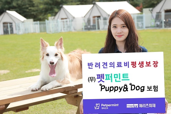 메리츠화재 ‘(무)펫퍼민트 Puppy&Dog보험’ (제공: 메리츠화재) ⓒ천지일보 2018.10.10