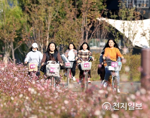 [천지일보=남승우 기자] 19일 오후 서울 여의도 한강공원에서 시민들이 화창한 가을 날씨를 즐기며 자전거를 타고 있다. ⓒ천지일보 2018.10.19