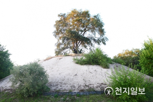 홍타이지 무덤. 모래무덤 위에 환생을 의미하는 나무 한 그루가 심겨 있다. ⓒ천지일보 2018.11.18