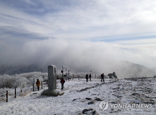 최근 많은 눈이 내린 태백산 등산로 주변이 온통 흰눈으로 뒤덮여 장관을 이루고 있다. (출처: 연합뉴스)
