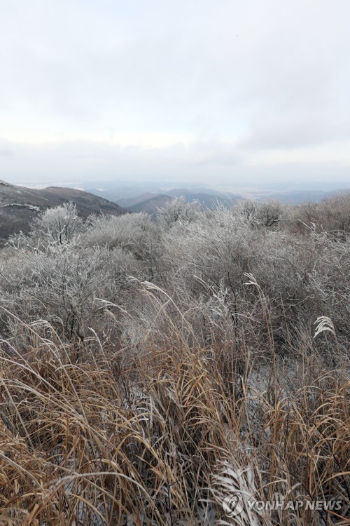 (광주=연합뉴스) 절기상 대설(大雪)이자 광주·전남 곳곳에 올겨울 첫눈이 내린 7일 무등산 국립공원에 눈이 덮여 있다.