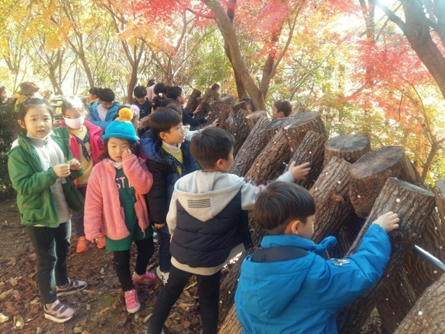 어린이들이 해남 가학산 자연휴양림의 유아숲에서 표고버섯체험을 하고 있다. (제공:해남군) ⓒ천지일보 2019.1.7