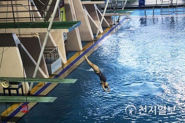 다이빙 선수가 김천실내수영장에서 다이빙을 하고 있는 모습. (제공: 김천시) ⓒ천지일보 2019.1.17