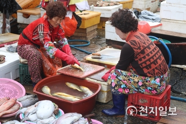 [천지일보 부산=김태현 기자] 부산 중구 자갈치시장 생선가게 어르신이 조기손질 하는 모습. ⓒ천지일보 2019.1.17