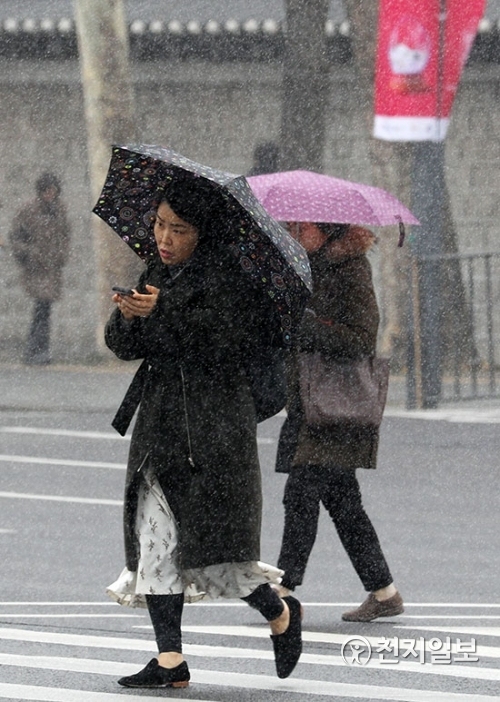 [천지일보=남승우 기자] 싸라기눈이 내리는 21일 오후 서울시청 인근에서 시민들이 우산을 쓴 채 발걸음을 재촉하고 있다. ⓒ천지일보 2019.1.21