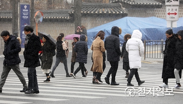 [천지일보=남승우 기자] 싸라기눈이 내리는 21일 오후 서울시청 인근에서 시민들이 우산을 쓴 채 발걸음을 재촉하고 있다. ⓒ천지일보 2019.1.21