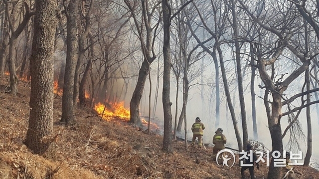 28일 오후 1시 10분께 부산 기장군 철마면 소재 소산마을 뒷산에서 화재가 발생했다. (제공: 부산경찰청) ⓒ천지일보 2019.1.28