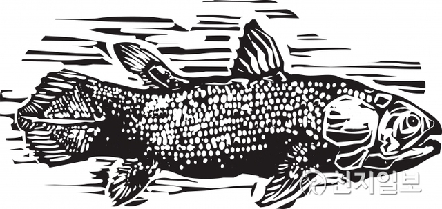 ‘살아 있는 화석’이라고 불리는 물고기 실러캔스 (출처: 게티이미지뱅크) ⓒ천지일보 2019.1.31