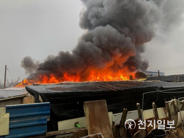31일 오전 8시 57분께 부산 강서구 대저동에 있는 개 사육 농장에 화재가 발생했다. (제공: 부산경찰청) ⓒ천지일보 2019.1.31