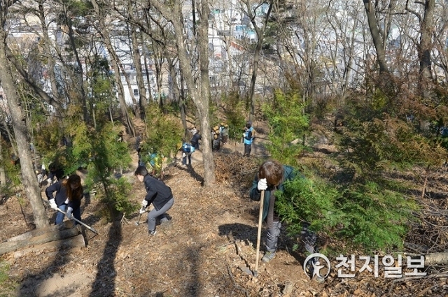 전남 순천시가 시민과 함께 ‘천만 그루 나무 심기’를 역점적으로 추진한다. (제공: 순천시) ⓒ천지일보 2019.2.8