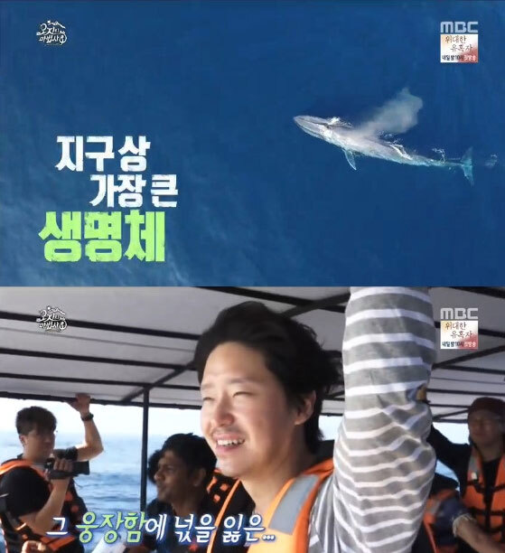 세상에서 가장 큰 고래 (출처: MBC)