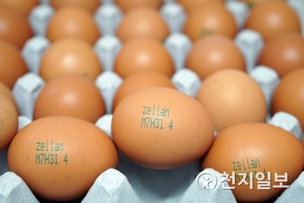 경상남도 창원시 의창구에 있는 대동마트에서 26일 구입한 달걀은 ‘사육환경정보 표시제’ 시행하고 있었다. ⓒ천지일보 2018.8.27