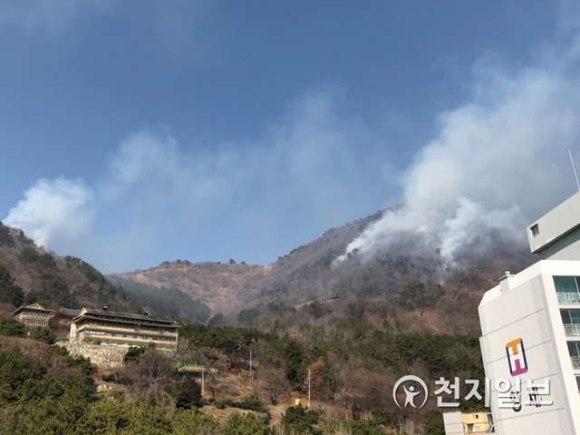 지난 26일 발생한 승학산 화재. (제공: 부산경찰청) ⓒ천지일보 2019.2.28
