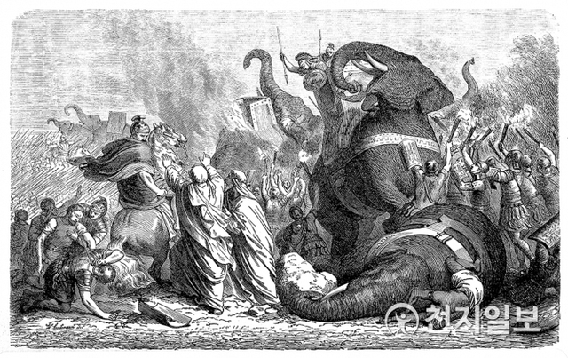 기원전 218년 4월 한니발은 5만명의 보병과 1만 2000명의 기병 그리고 37마리의 코끼리 부대를 이끌고 신카르타고를 떠났다. (출처: 게티이미지뱅크) ⓒ천지일보 2019.2.28