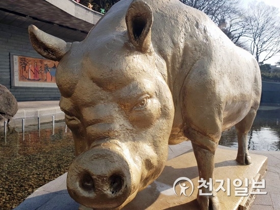 복을(福)주는 황금돼지섬, 돝섬에 있는 황금돼지의 모습. ⓒ천지일보 2019.3.8