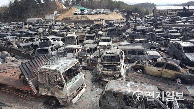 [천지일보=박준성 기자] 6일 강원 속초시 한 폐차장의 차량들이 고성 화재로 인해 전소돼 있다ⓒ천지일보 2019.4.6