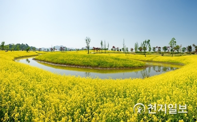 순천만국가정원에 핀 유채꽃. (제공: 순천시) ⓒ천지일보 2019.4.10